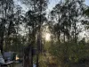 281 Brocklehurst Road, Wattle Camp, Qld 4615-Image