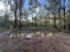 281 Brocklehurst Road, Wattle Camp, Qld 4615-Image
