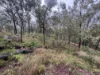 281 Brocklehurst Road, Wattle Camp, Qld 4615-Image
