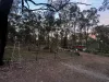 281 Brocklehurst Road, Wattle Camp, Qld 4615-Image