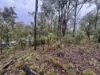 281 Brocklehurst Road, Wattle Camp, Qld 4615-Image