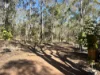 281 Brocklehurst Road, Wattle Camp, Qld 4615-Image