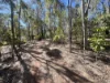 281 Brocklehurst Road, Wattle Camp, Qld 4615-Image