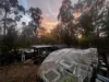 281 Brocklehurst Road, Wattle Camp, Qld 4615-Image