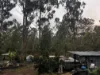 281 Brocklehurst Road, Wattle Camp, Qld 4615-Image