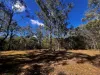 281 Brocklehurst Road, Wattle Camp, Qld 4615-Image