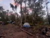 281 Brocklehurst Road, Wattle Camp, Qld 4615-Image