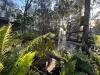 281 Brocklehurst Road, Wattle Camp, Qld 4615-Image