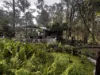 281 Brocklehurst Road, Wattle Camp, Qld 4615-Image