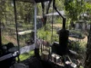 281 Brocklehurst Road, Wattle Camp, Qld 4615-Image