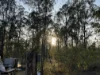 281 Brocklehurst Road, Wattle Camp, Qld 4615-Image