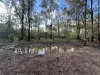 281 Brocklehurst Road, Wattle Camp, Qld 4615-Image