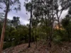 281 Brocklehurst Road, Wattle Camp, Qld 4615-Image