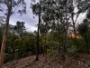 281 Brocklehurst Road, Wattle Camp, Qld 4615-Image