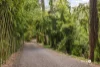 285 Kenmore Road, Fig Tree Pocket, Qld 4069-Image