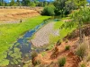 28A Cunningham Street, Bingara, NSW 2404-Image