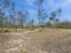 29 Bischoff Mill Road, Watsonville, Qld 4887-Image