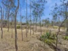 29 Bischoff Mill Road, Watsonville, Qld 4887-Image