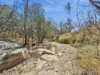 29 Bischoff Mill Road, Watsonville, Qld 4887-Image