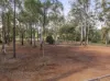 29 Castle Road, Cabarlah, Qld 4352-Image
