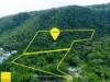 29 Foley Road, Palm Cove, Qld 4879-Image