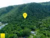 29 Foley Road, Palm Cove, Qld 4879-Image