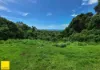 29 Foley Road, Palm Cove, Qld 4879-Image