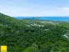 29 Foley Road, Palm Cove, Qld 4879-Image