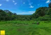 29 Foley Road, Palm Cove, Qld 4879-Image