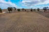 29 Grimshaw Lane, Gulgong, NSW 2852-Image