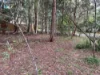 29 Hacking Ridge Road, Russell Island, Qld 4184-Image