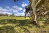 29 Holmes Road, Maida Vale, WA 6057-Image