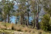 29 Lily Street, White Beach, Tas 7184-Image