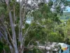 29 Main View Drive, Russell Island, Qld 4184-Image