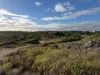 29 Moores Drive, Currie, Tas 7256-Image