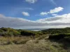 29 Moores Drive, Currie, Tas 7256-Image