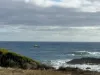 29 Moores Drive, Currie, Tas 7256-Image