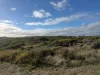 29 Moores Drive, Currie, Tas 7256-Image