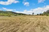 29 Toonda Road, Marmor, Qld 4702-Image