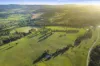 290 Old South Road, Alpine, NSW 2575