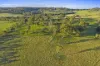 290 Old South Road, Alpine, NSW 2575-Image