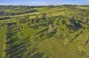 290 Old South Road, Alpine, NSW 2575-Image