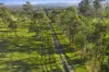 290 Old South Road, Alpine, NSW 2575-Image