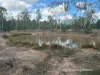 291 Forestry Road, Weranga, Qld 4405