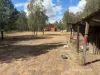 291 Forestry Road, Weranga, Qld 4405-Image