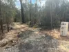 291 Forestry Road, Weranga, Qld 4405-Image