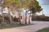 2922 Mallee Highway, Sherlock, SA 5301-Image