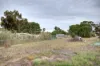 2922 Mallee Highway, Sherlock, SA 5301-Image
