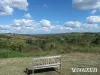 294 Mercer Springate Road, East Nanango, Qld 4615-Image