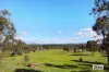 297 Axe Creek Road, Axe Creek, Vic 3551-Image